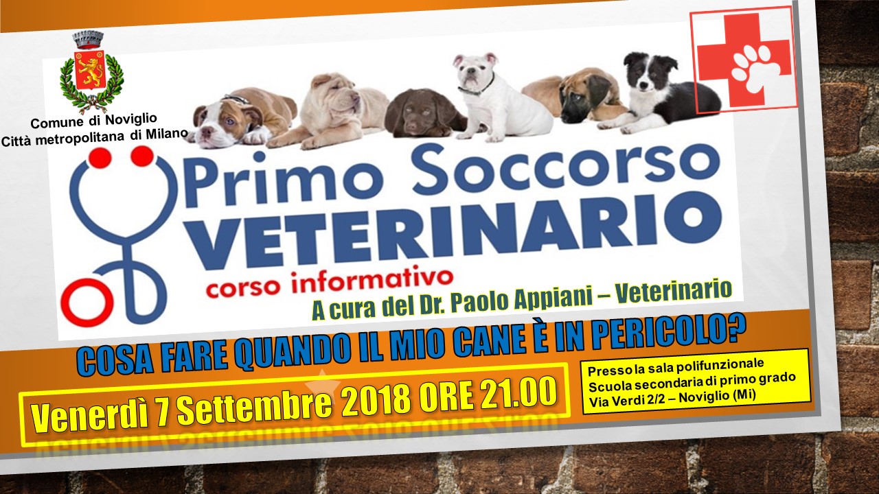 Corso Primo Soccorso Veterinario - Venerdì 7 settembre ore 21 - Sala polifunzionale - Scuola Media di Noviglio