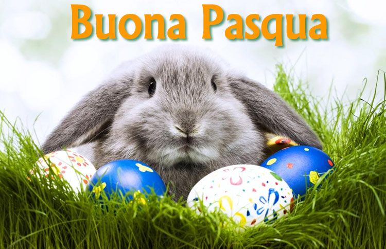 Auguri di Buona Pasqua.