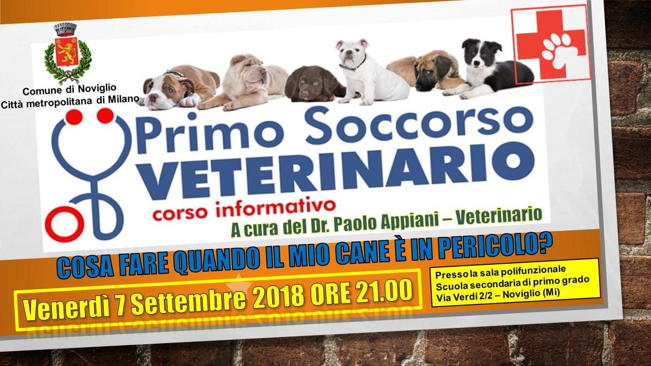 Venerdì 7 Settembre - ore 21 - Primo Soccorso Veterinario C/O Sala Polifunzionale - Scuole Medie Noviglio