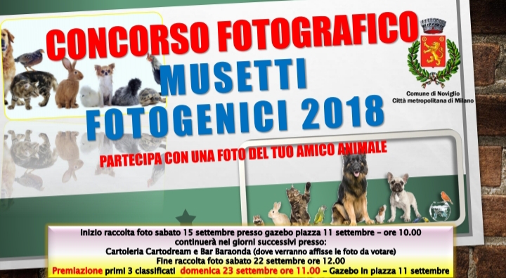 Concorso fotografico "Musetti fotogenici" 2018