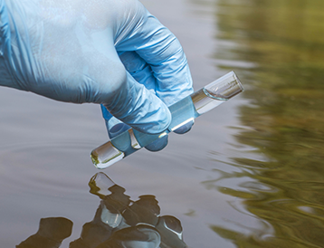 Esito sopralluoghi ed analisi effettuate presso la roggia baronella in localita’ tainate di noviglio